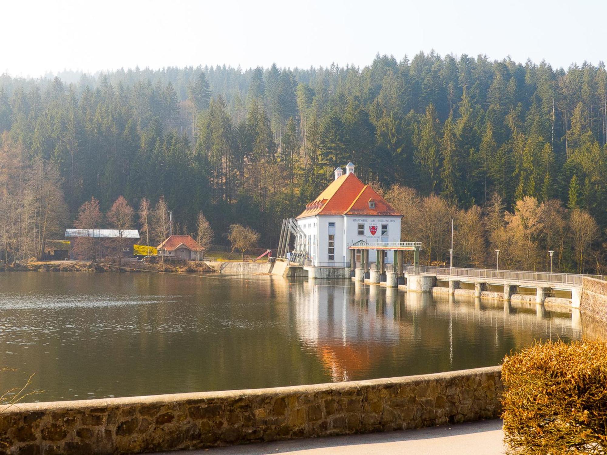 Ferienhaus Nr 6, Typ A, Feriendorf Jaegerpark, Bayerischer Wald Viechtach Eksteriør billede